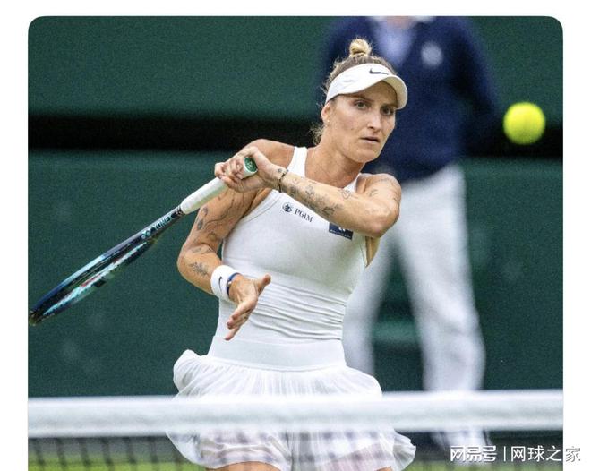 麦科勒姆式 麦科勒姆式